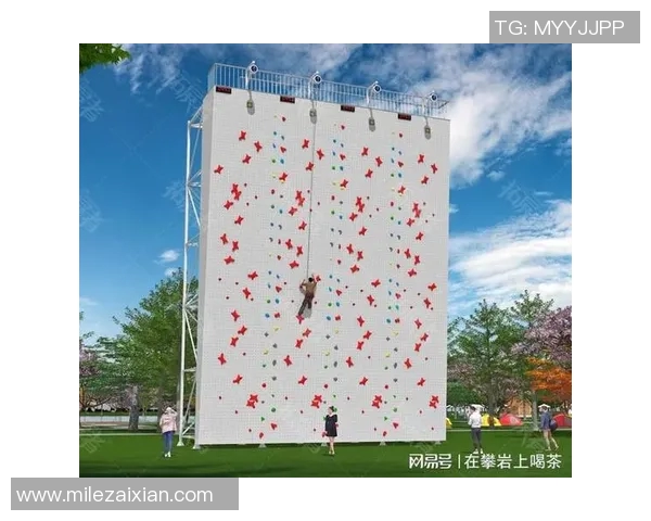 2026年3月份新闻杭州攀岩队员个人能力深度对比与分析探讨
